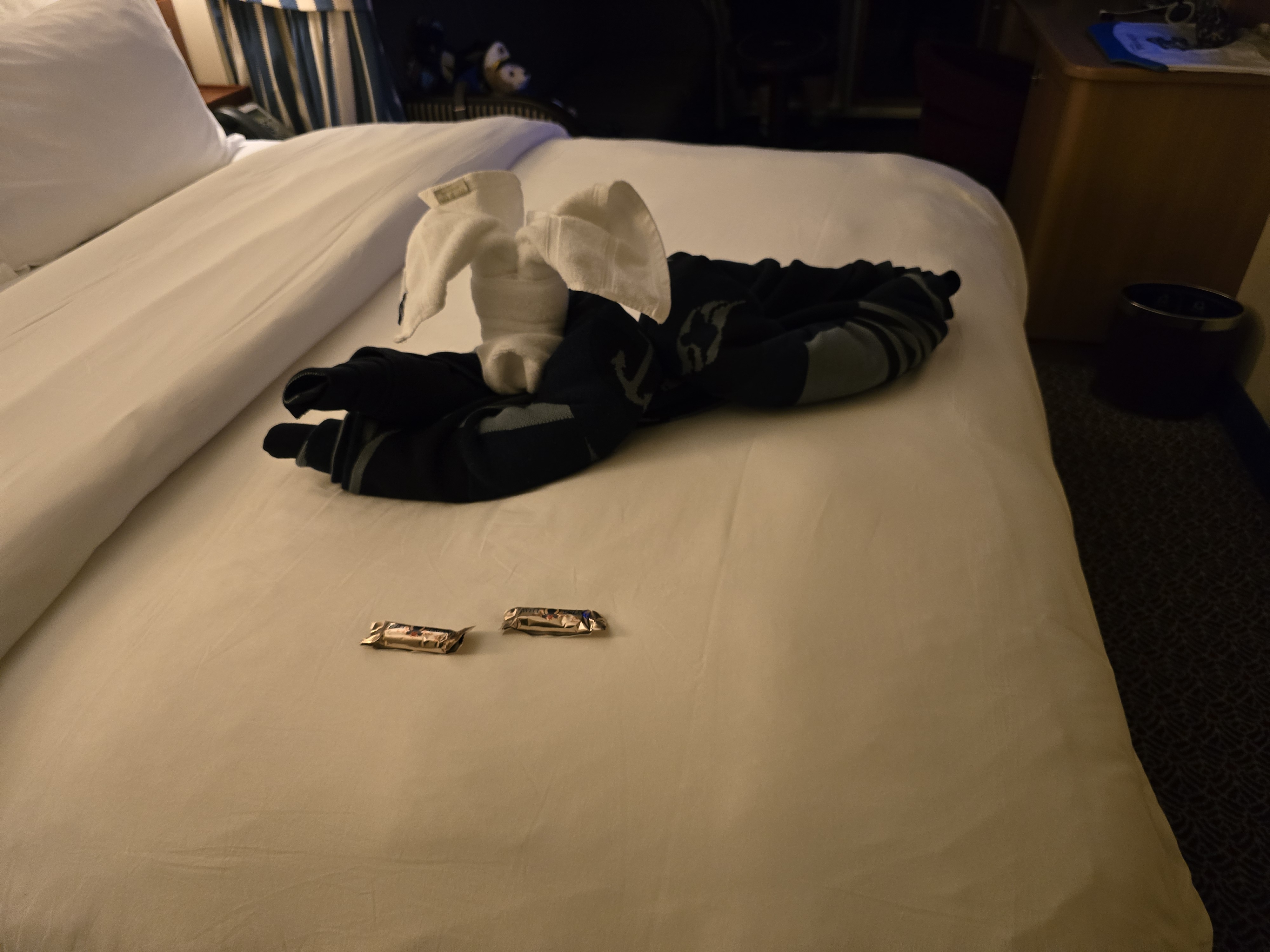 Towel animal in the shape of a dog left by our stateroom host